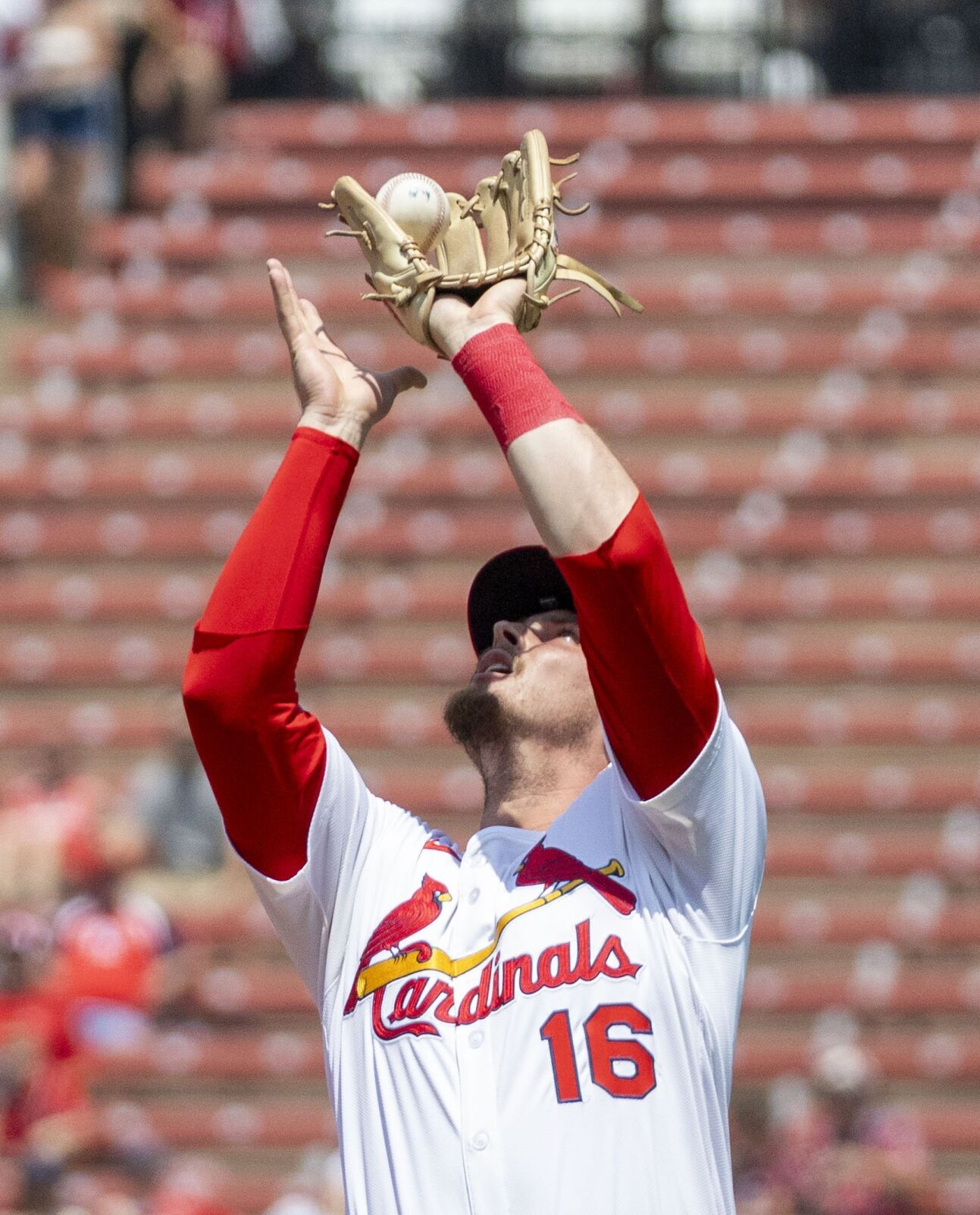 51黑料 Cardinals host Blue Jays